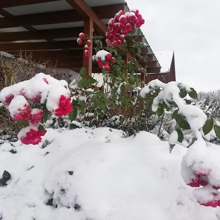 Fuchs Appartement Albrechts