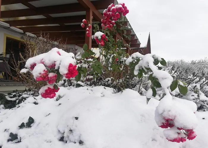 Fuchs Appartement Albrechts